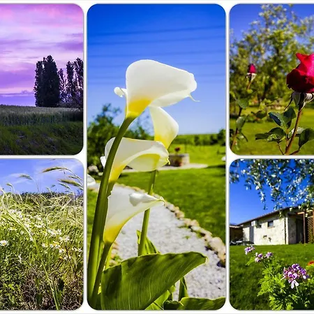 Vakantiehuis Casale Dinelli *