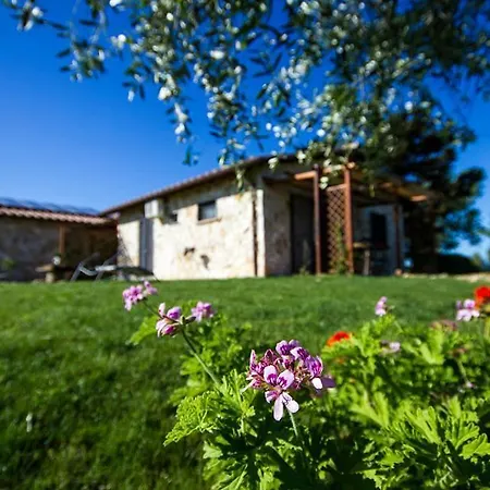 Casale Dinelli Tarquinia