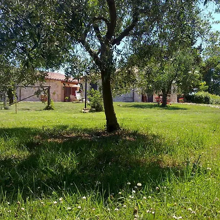 Casale Dinelli Tarquinia